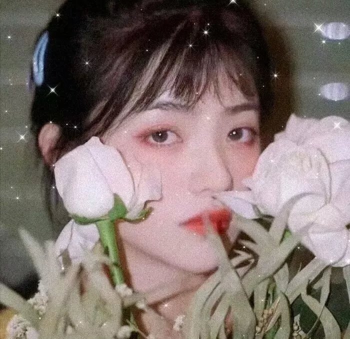 红槐花